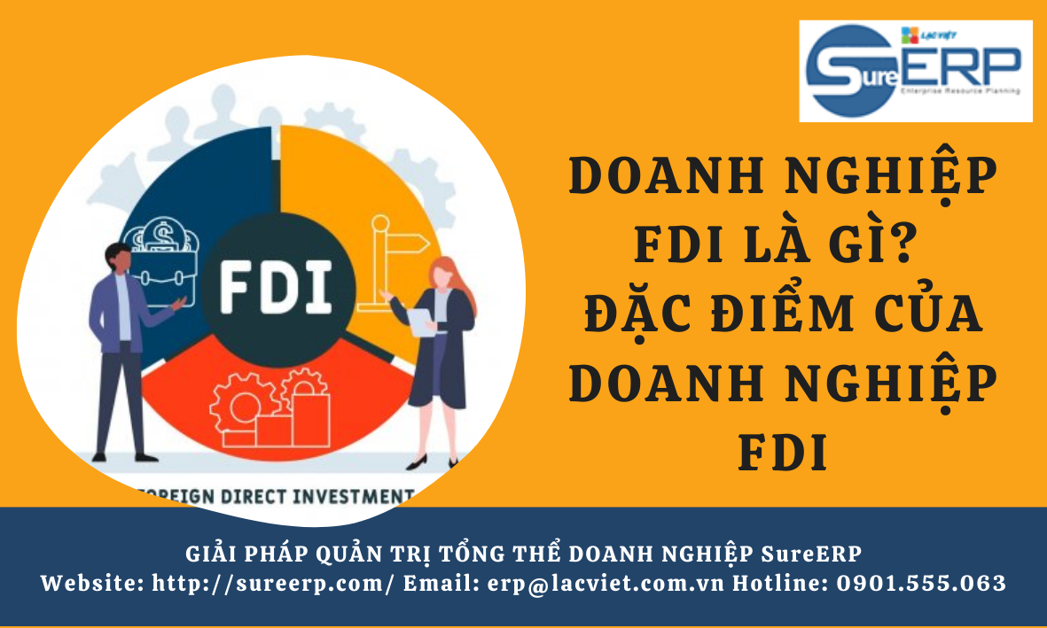 Doanh nghiệp FDI là gì? Đặc điểm của doanh nghiệp FDI